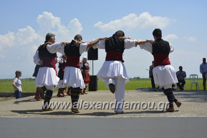 alexandriamou.gr_trikala28.5.2018116